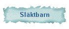 Slktbarn